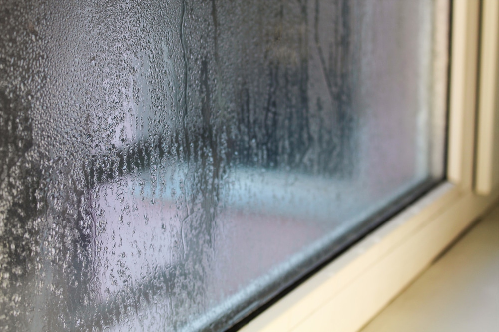 close up picture of condensation on the outside of double glazing